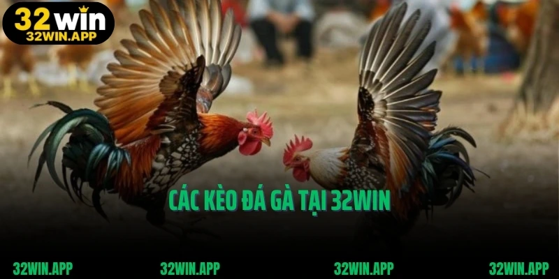 Các kèo đá gà tại 32WIN